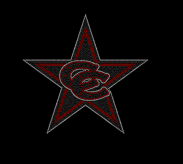 Coppell Star cc RHINESTONE Ladies V neck DM476