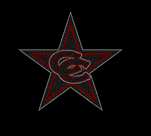 Coppell Star cc RHINESTONE Ladies V neck DM476
