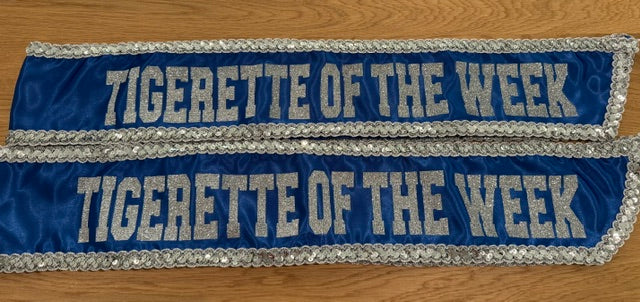 Sash - Glitter with Sequin trim