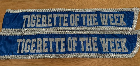 Sash - Glitter with Sequin trim